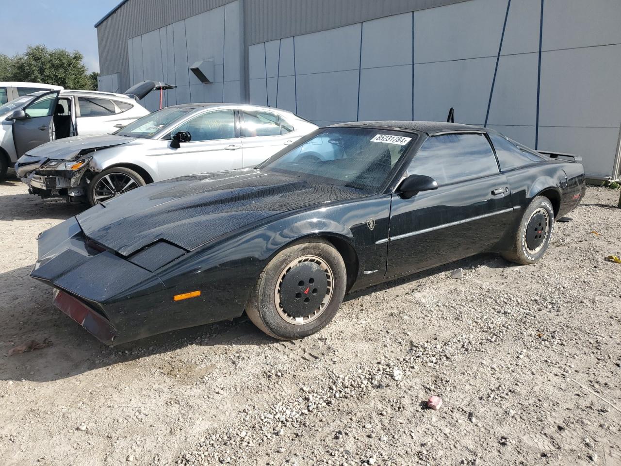 1991 Pontiac Firebird VIN: 1G2FS23T9ML231204 Lot: 85231784