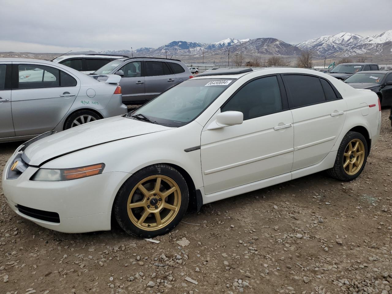 19UUA66265A081342 2005 Acura Tl