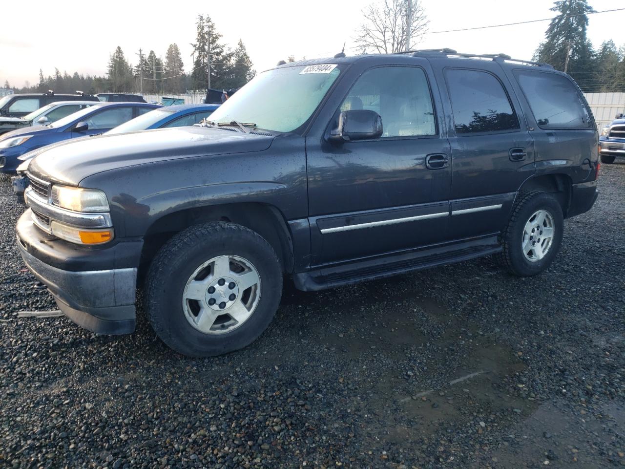 2005 Chevrolet Tahoe K1500 VIN: 1GNEK13T35J231298 Lot: 83579404