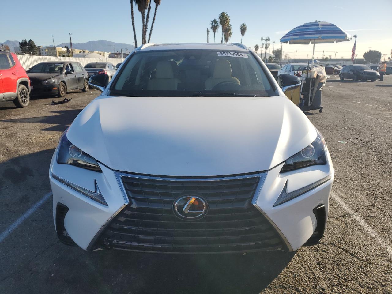 JTJGARBZ5L2178195 2020 Lexus Nx 300