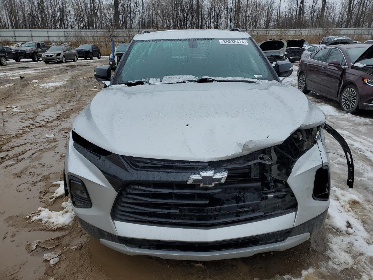 2019 Chevrolet Blazer 2Lt VIN: 3GNKBGRS3KS584560 Lot: 85635414