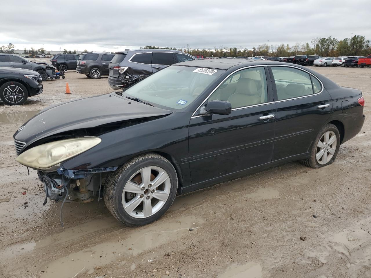 2005 Lexus Es 330 VIN: JTHBA30G855138527 Lot: 85602294