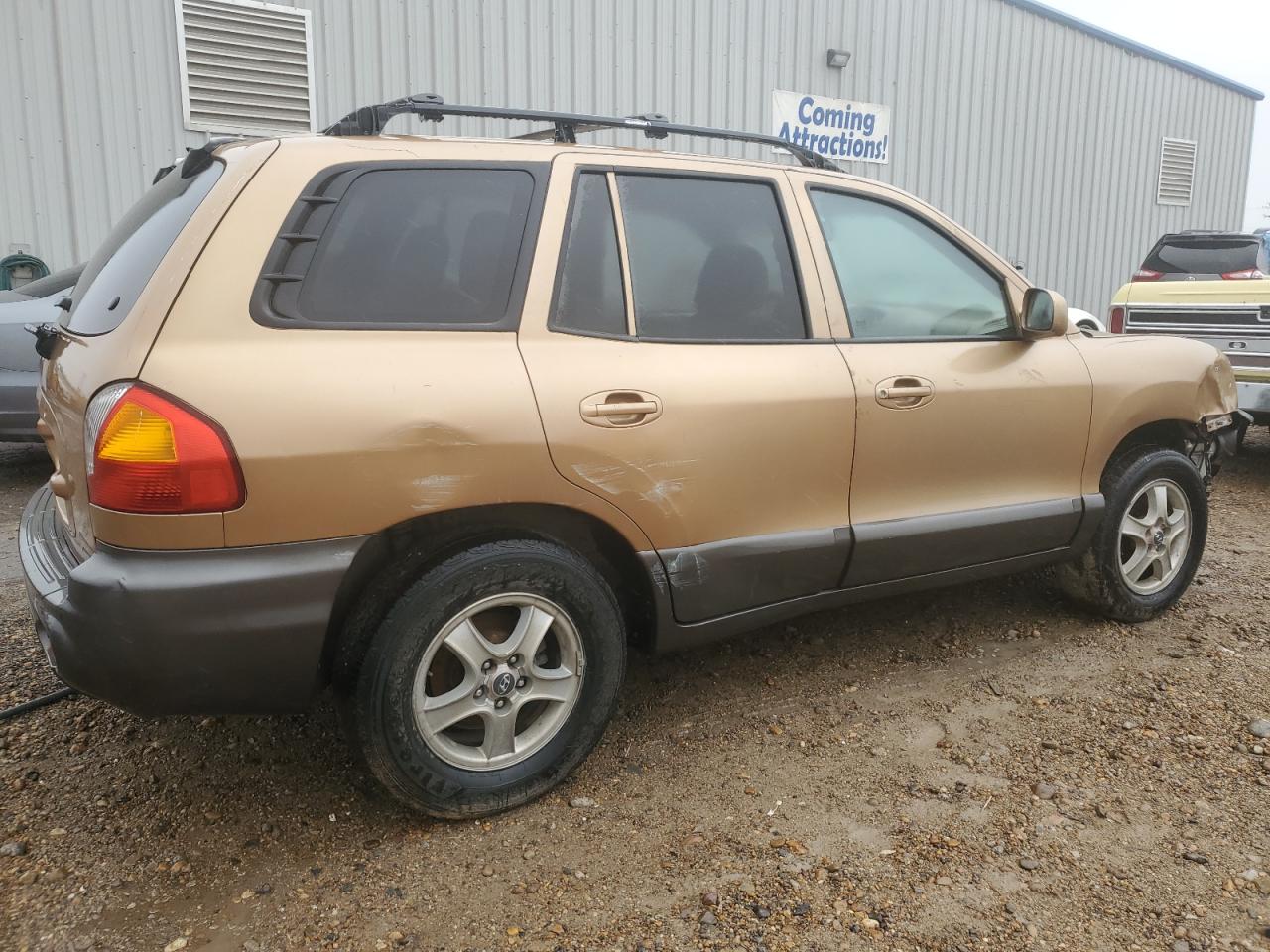 KM8SC13D64U638588 2004 Hyundai Santa Fe Gls