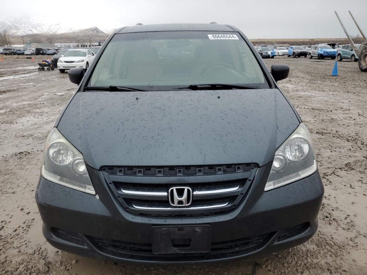 2006 Honda Odyssey Ex VIN: 5FNRL38496B103225 Lot: 86646544