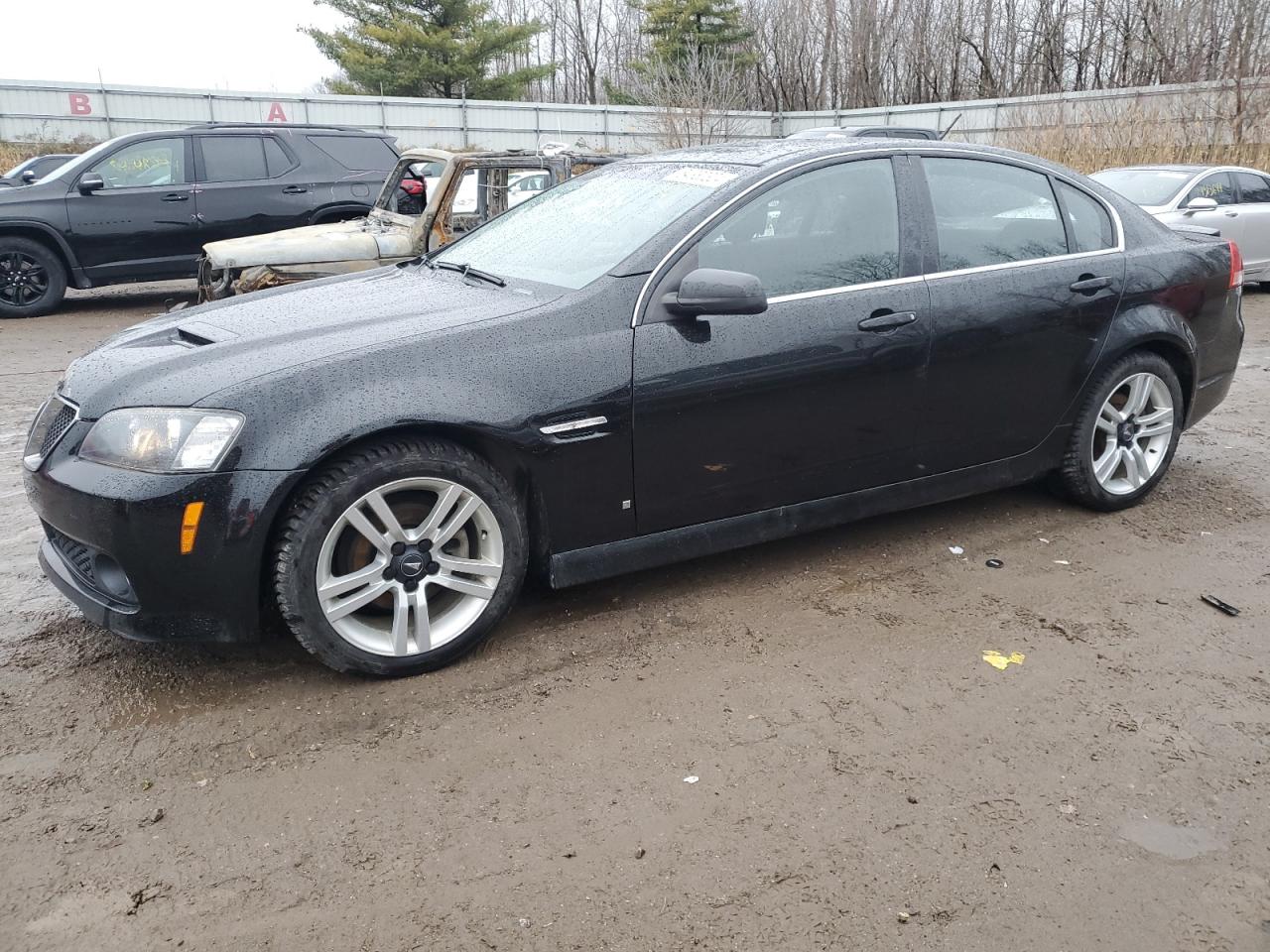 2009 Pontiac G8 VIN: 6G2ER57719L184203 Lot: 84380324