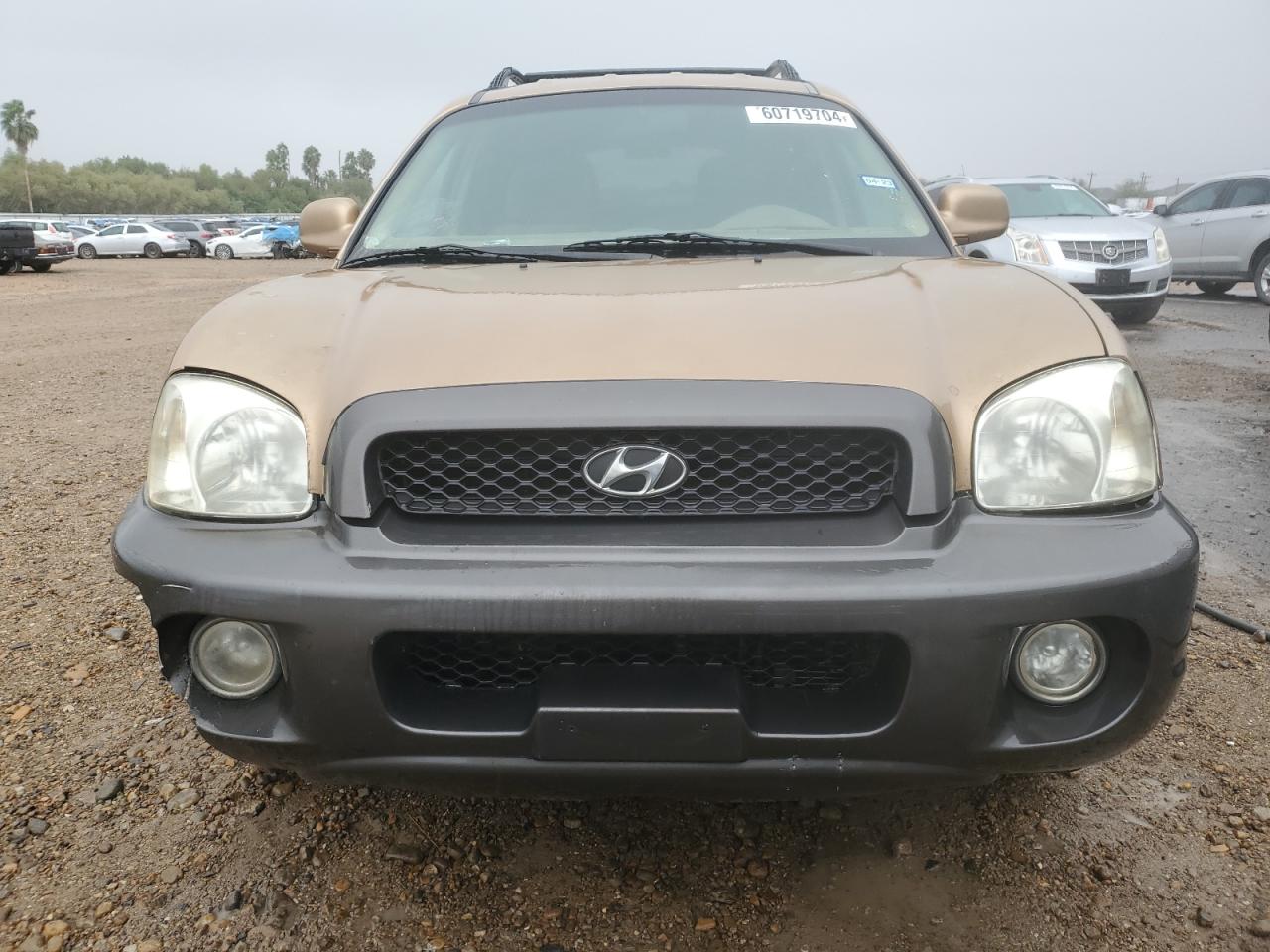 KM8SC13D64U638588 2004 Hyundai Santa Fe Gls