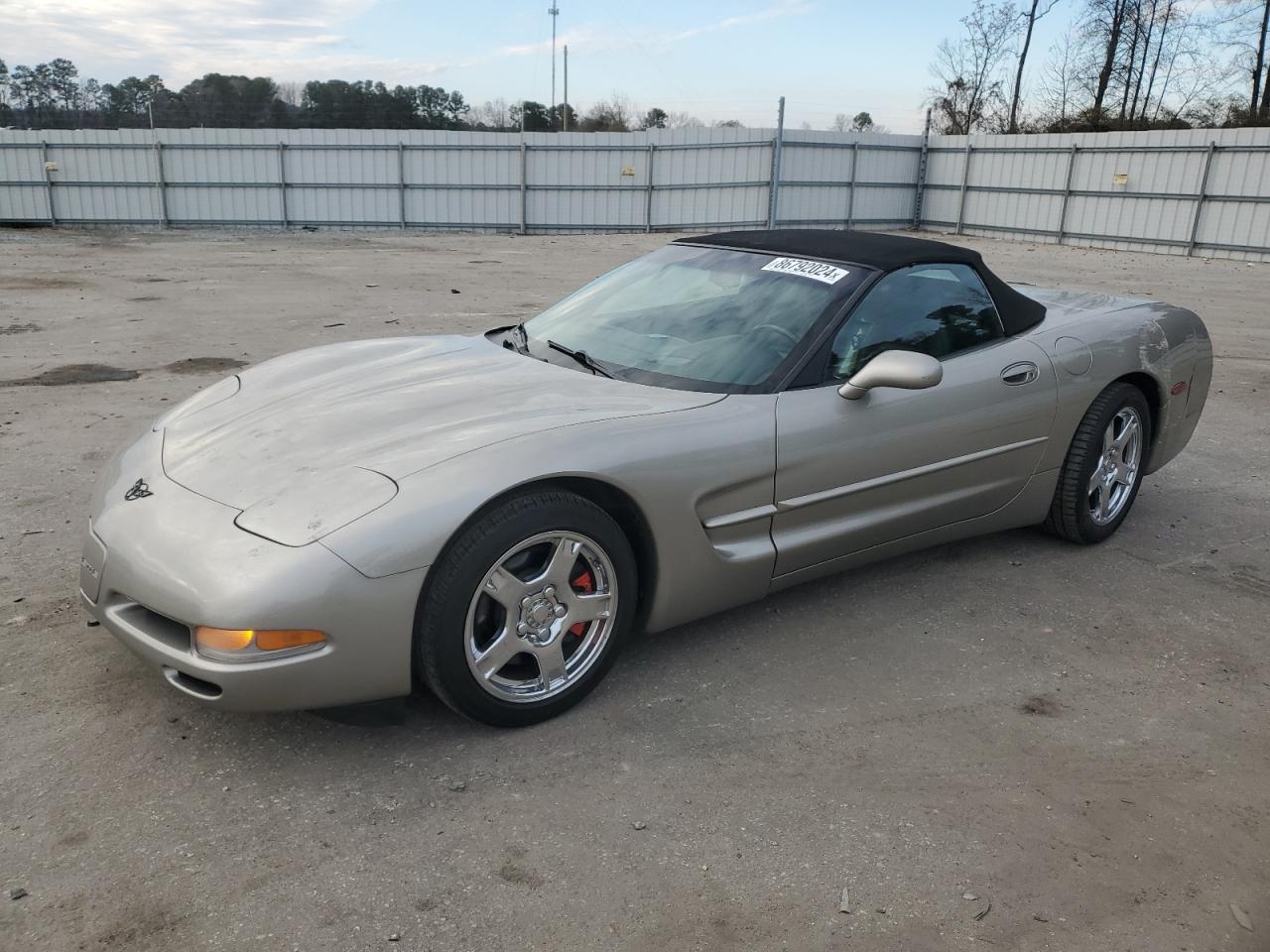 1999 Chevrolet Corvette VIN: 1G1YY32G0X5119096 Lot: 86792024