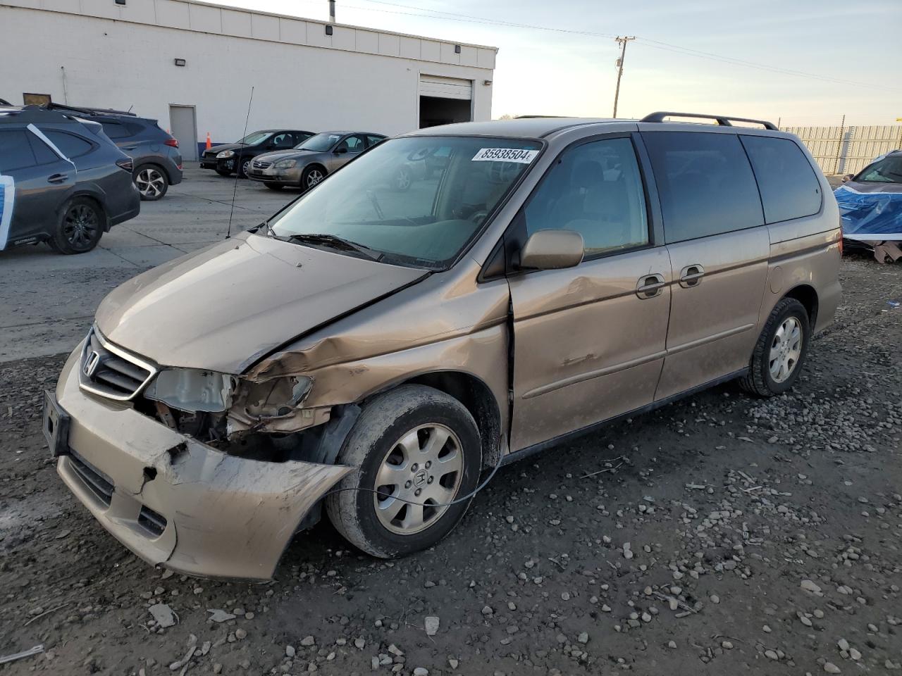 2004 Honda Odyssey Ex VIN: 5FNRL18804B126459 Lot: 85938504