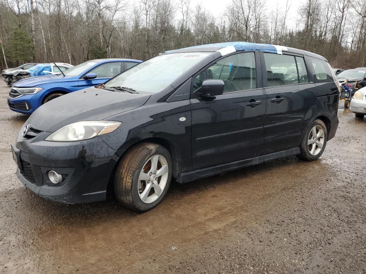 2009 Mazda 5 VIN: JM1CR293090353816 Lot: 80009874