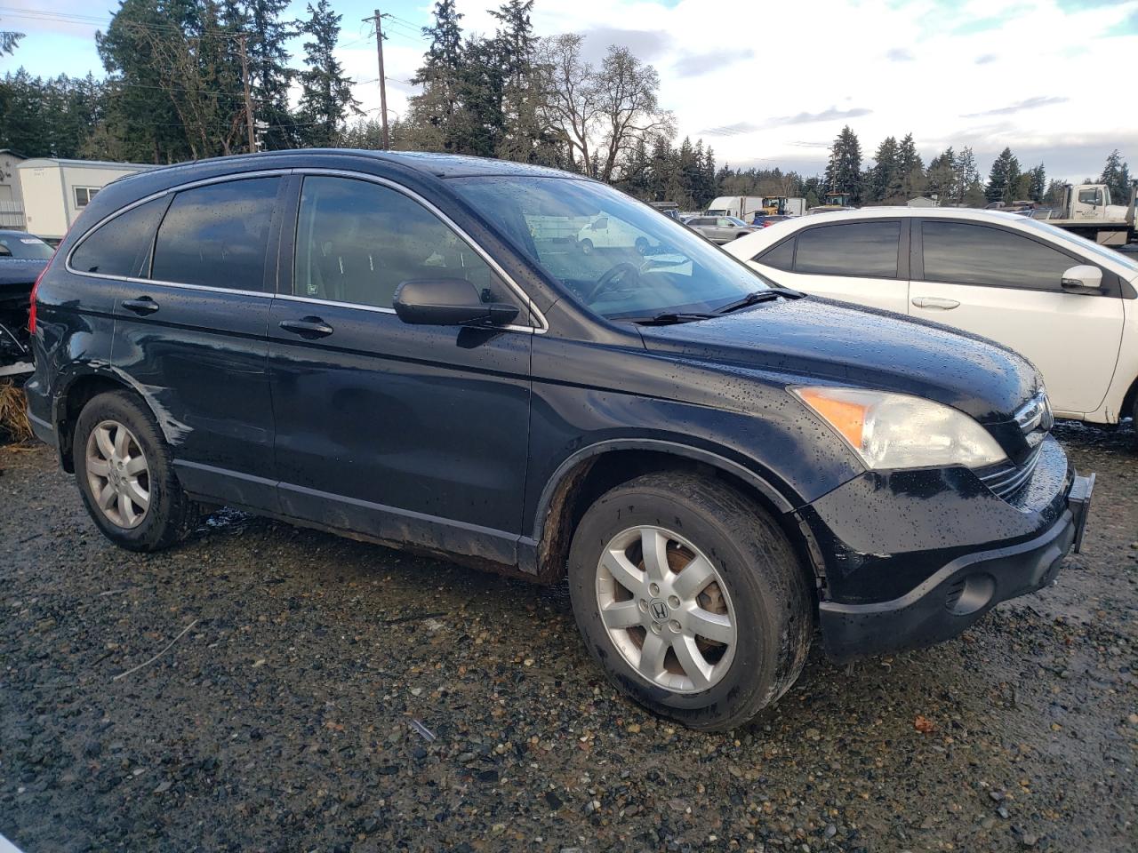 2009 Honda Cr-V Exl VIN: JHLRE48709C021947 Lot: 86838354