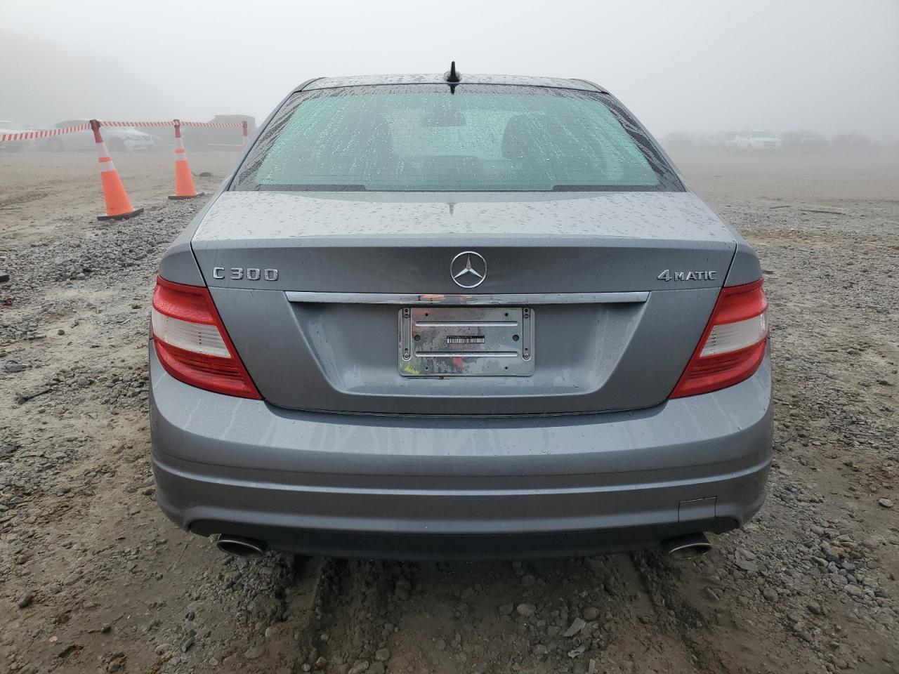 2010 Mercedes-Benz C 300 4Matic VIN: WDDGF8BB6AF399169 Lot: 85325234