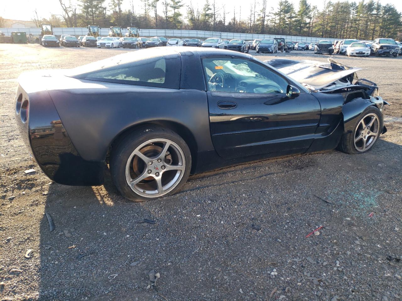 2004 Chevrolet Corvette VIN: 1G1YY22G545123747 Lot: 81296754