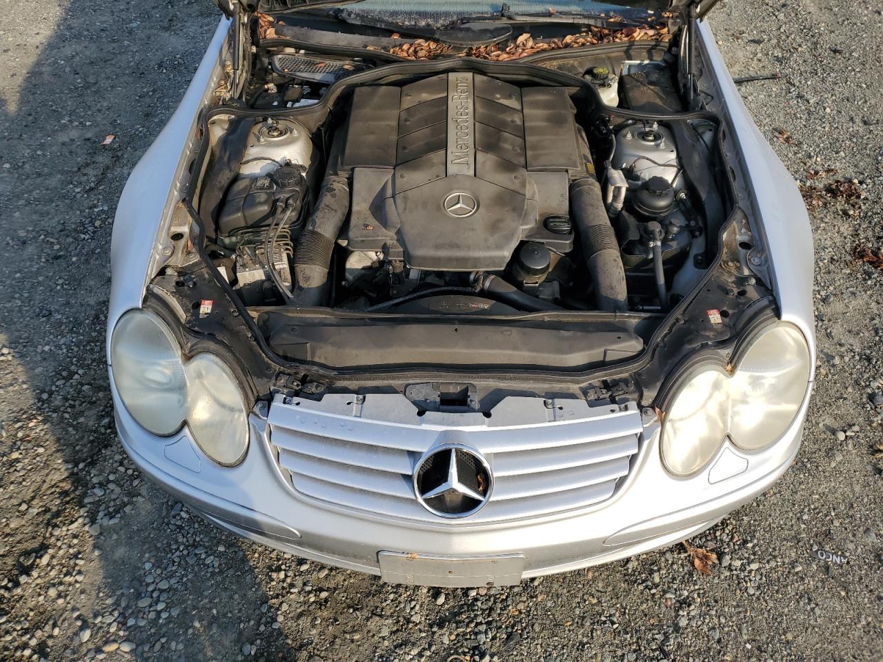 2003 Mercedes-Benz Sl 500R VIN: WDBSK75F43F025993 Lot: 82931534