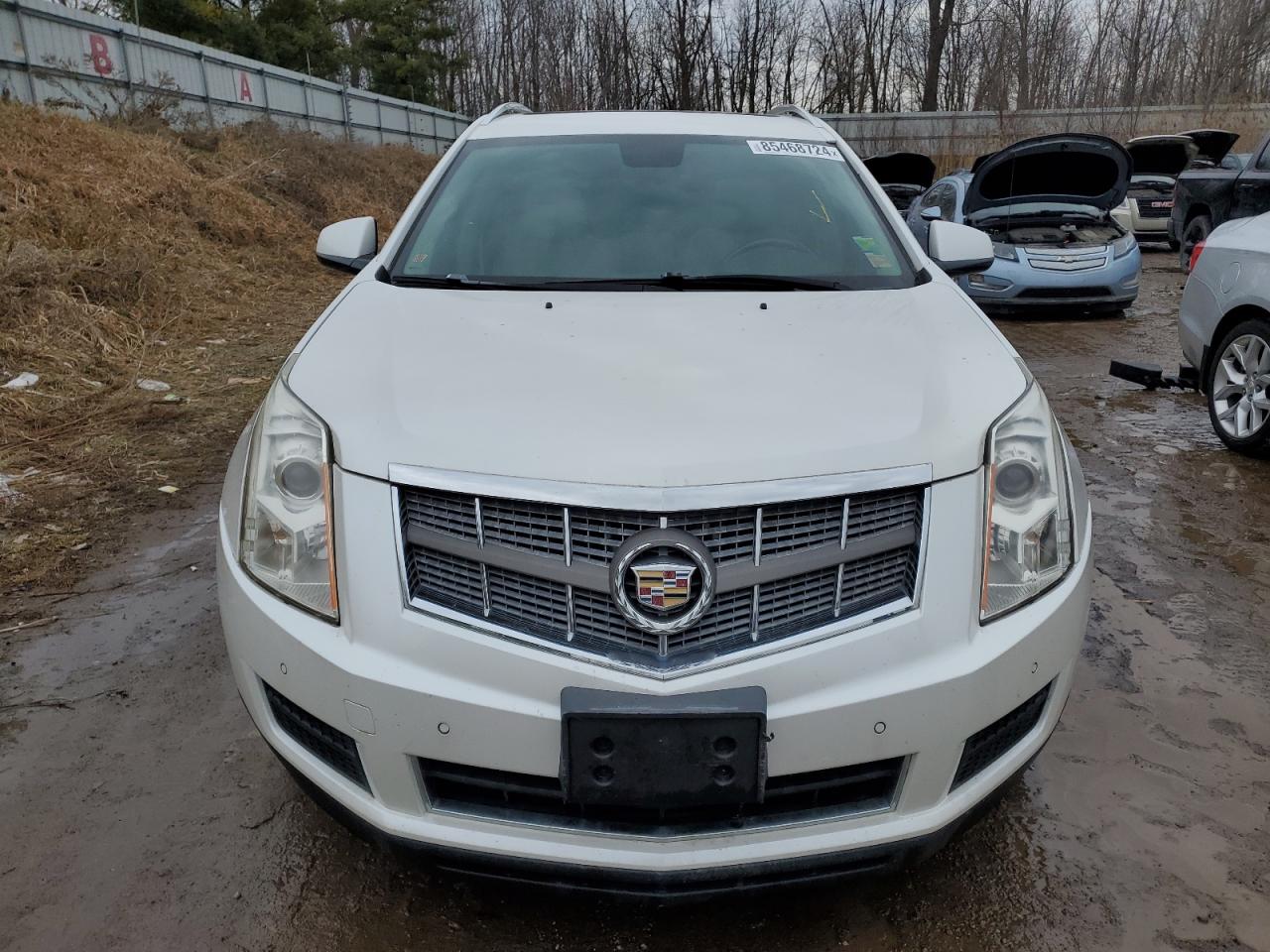 2010 Cadillac Srx Luxury Collection VIN: 3GYFNDEY5AS572980 Lot: 85468724