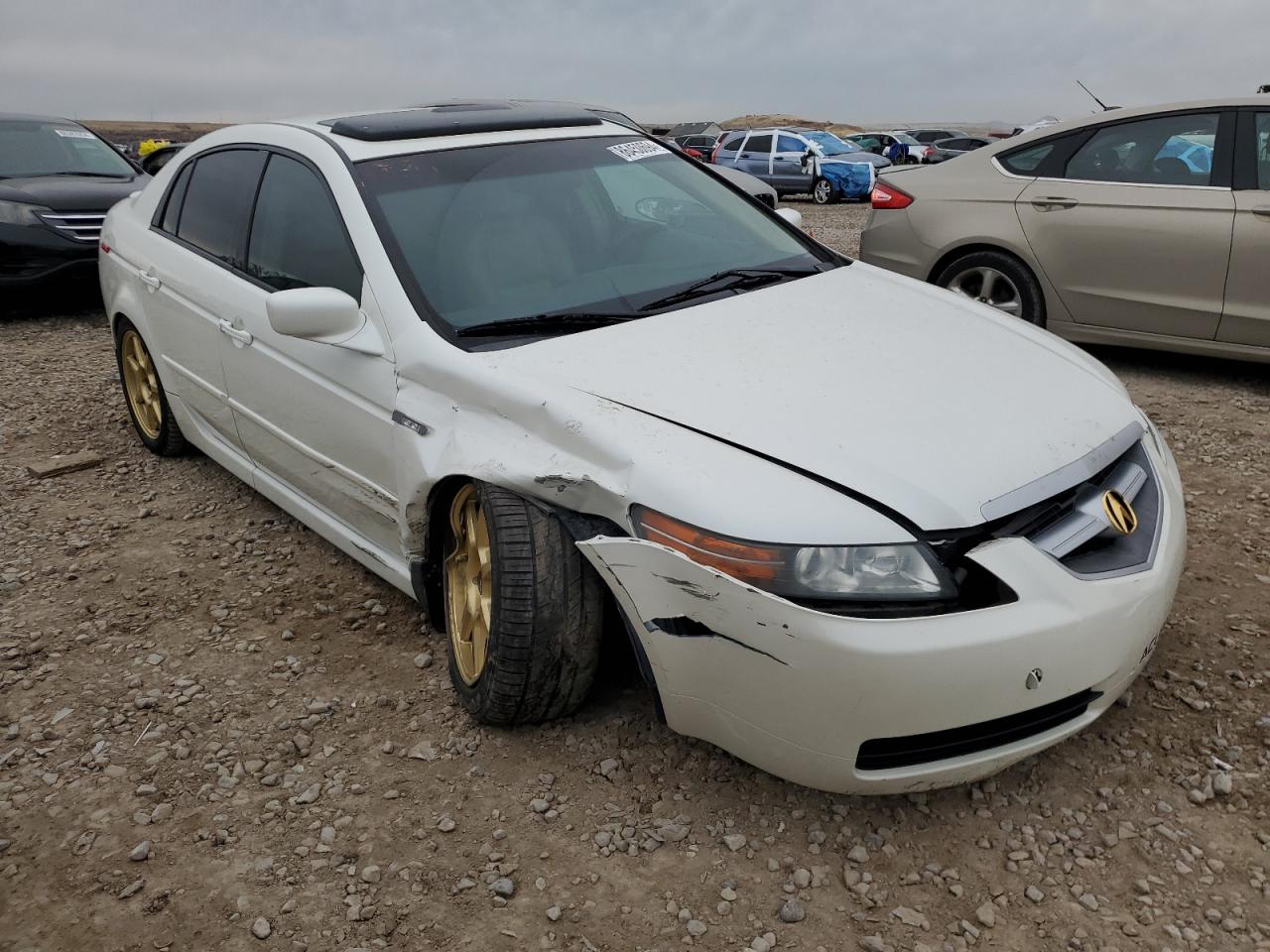 19UUA66265A081342 2005 Acura Tl