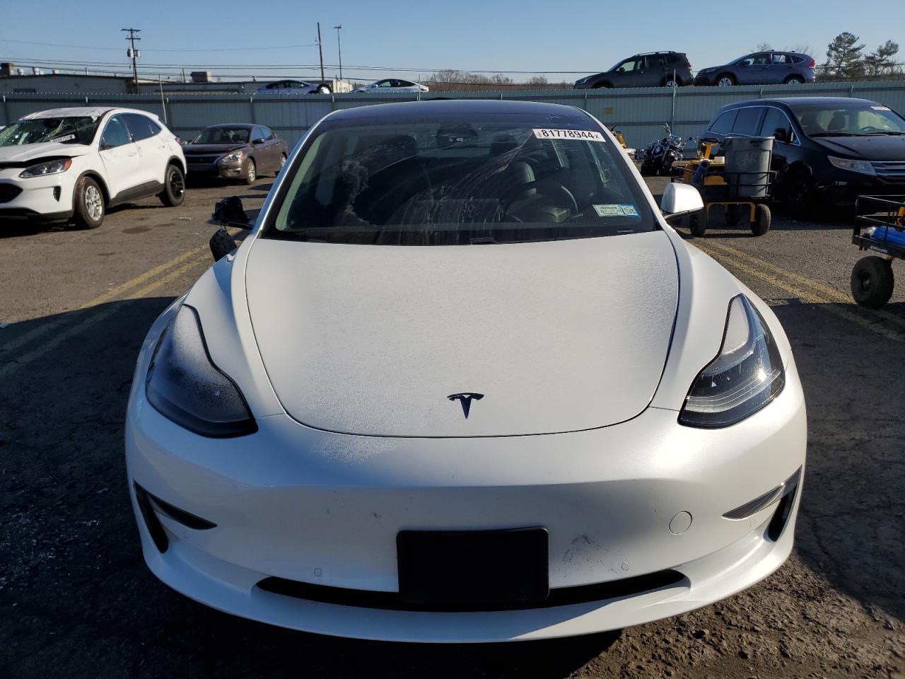 2021 Tesla Model 3 VIN: 5YJ3E1EA4MF045391 Lot: 81778944