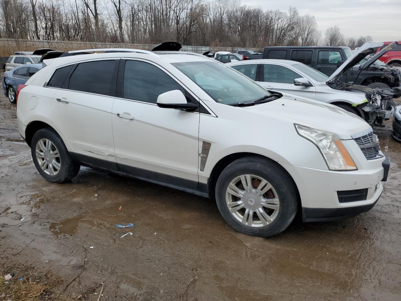 2010 Cadillac Srx Luxury Collection VIN: 3GYFNDEY5AS572980 Lot: 85468724