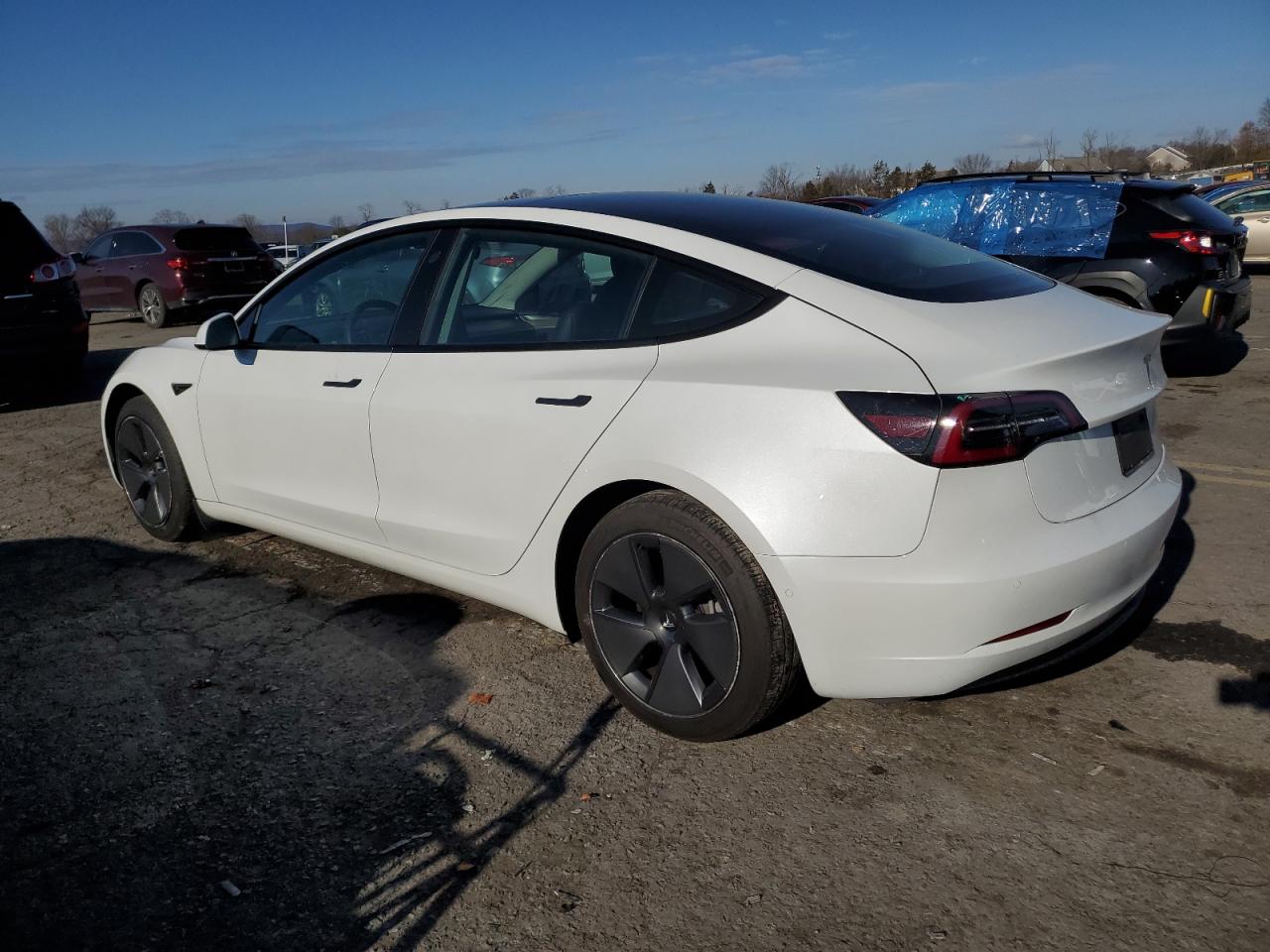 2021 Tesla Model 3 VIN: 5YJ3E1EA4MF045391 Lot: 81778944