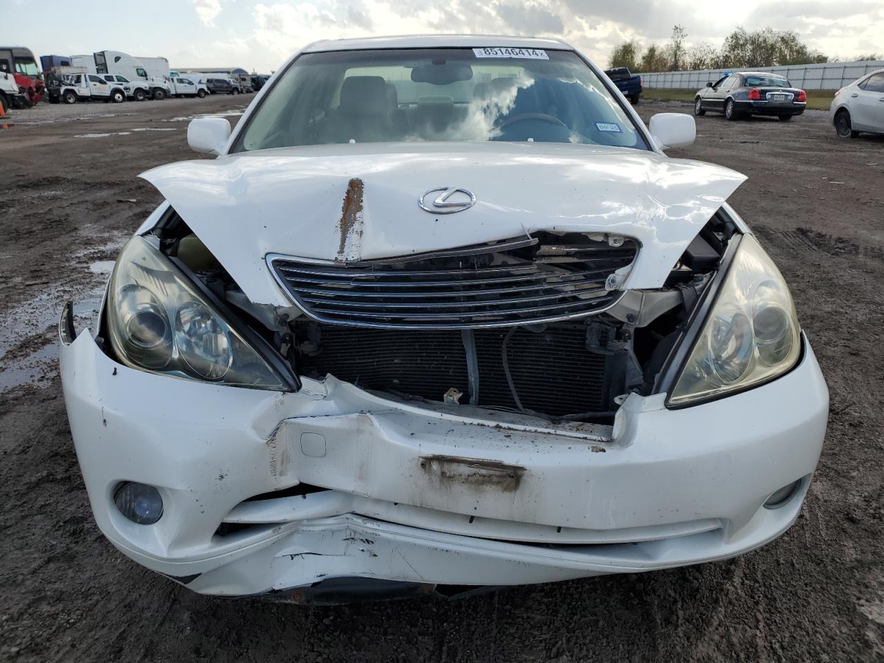 2006 Lexus Es 330 VIN: JTHBA30G365175728 Lot: 85146414