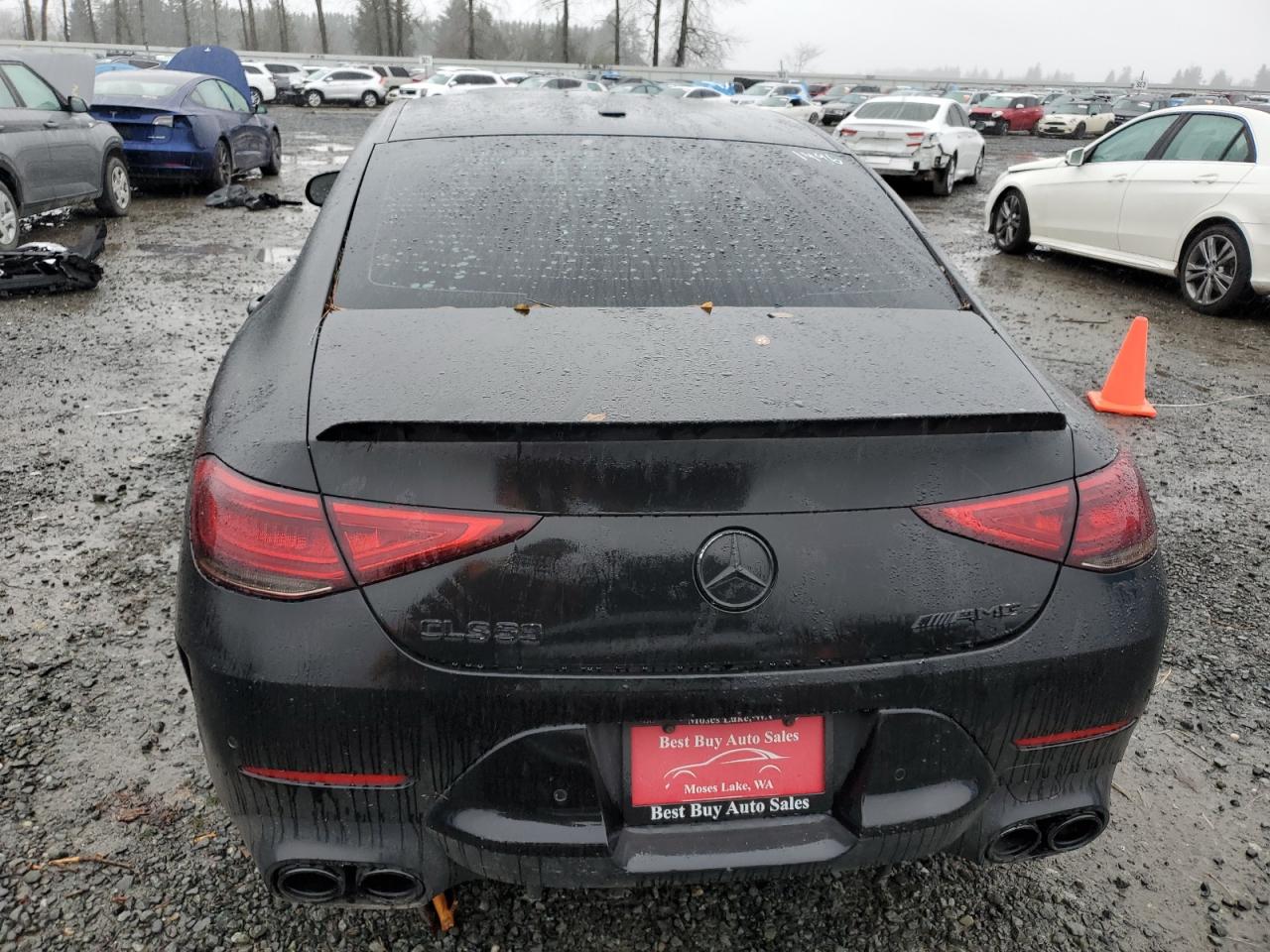 2019 Mercedes-Benz Cls Amg 53 4Matic VIN: WDD2J6BB7KA031496 Lot: 86726714