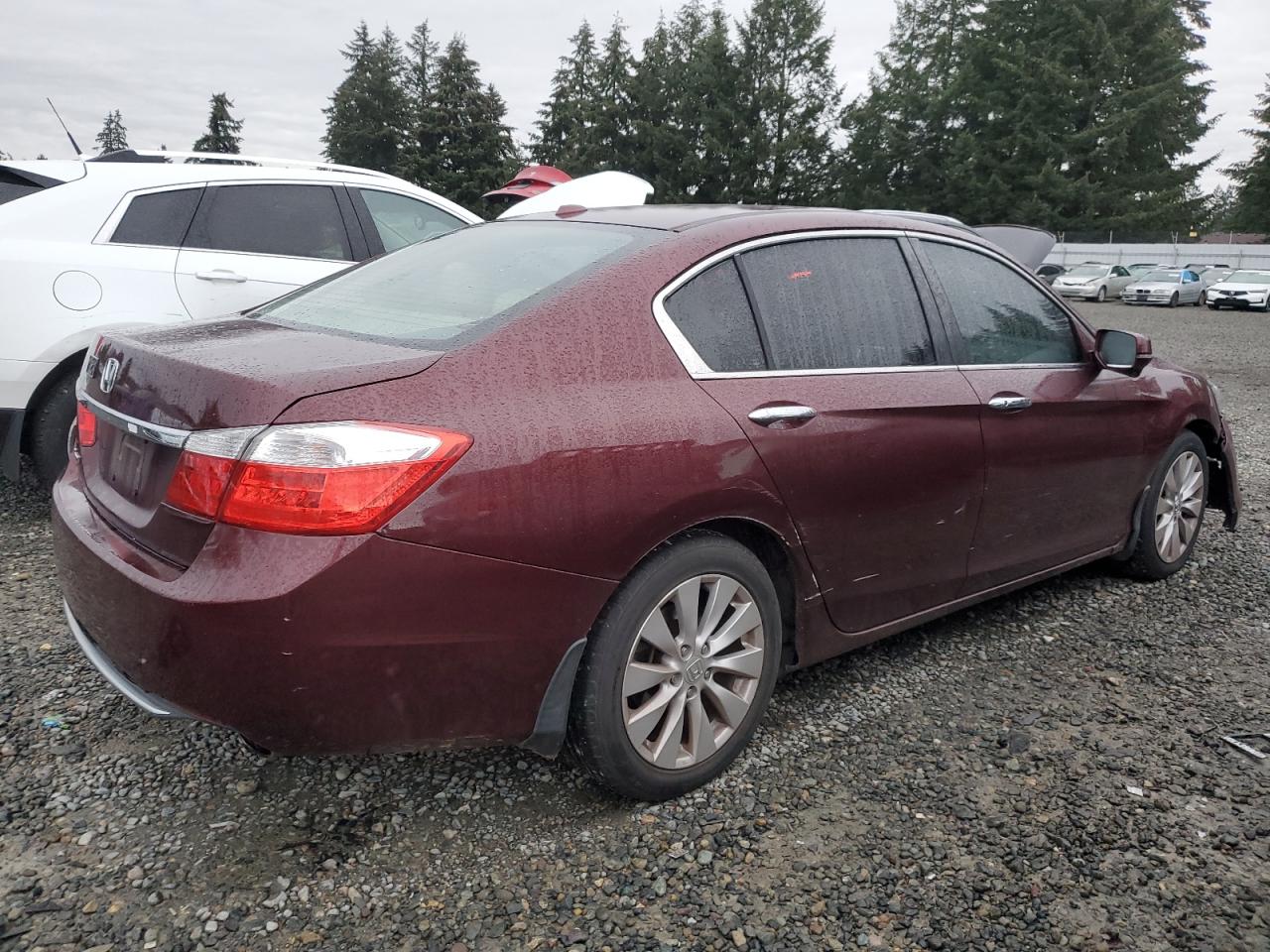 2013 Honda Accord Exl VIN: 1HGCR2F8XDA035576 Lot: 85818274