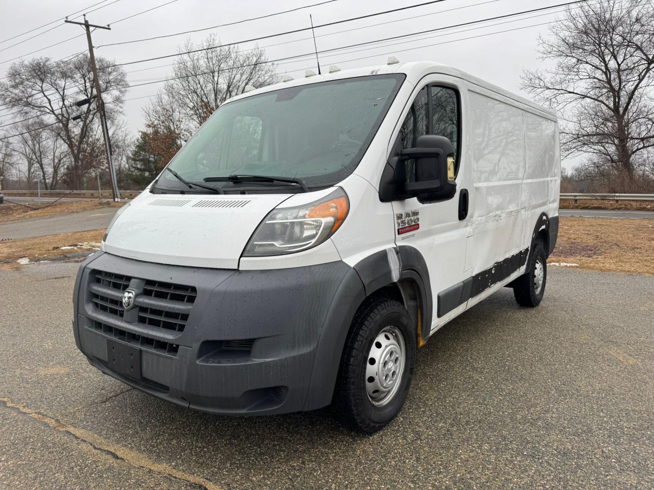 2016 Ram Promaster 1500 1500 Standard VIN: 3C6TRVAGXGE115998 Lot: 87132754