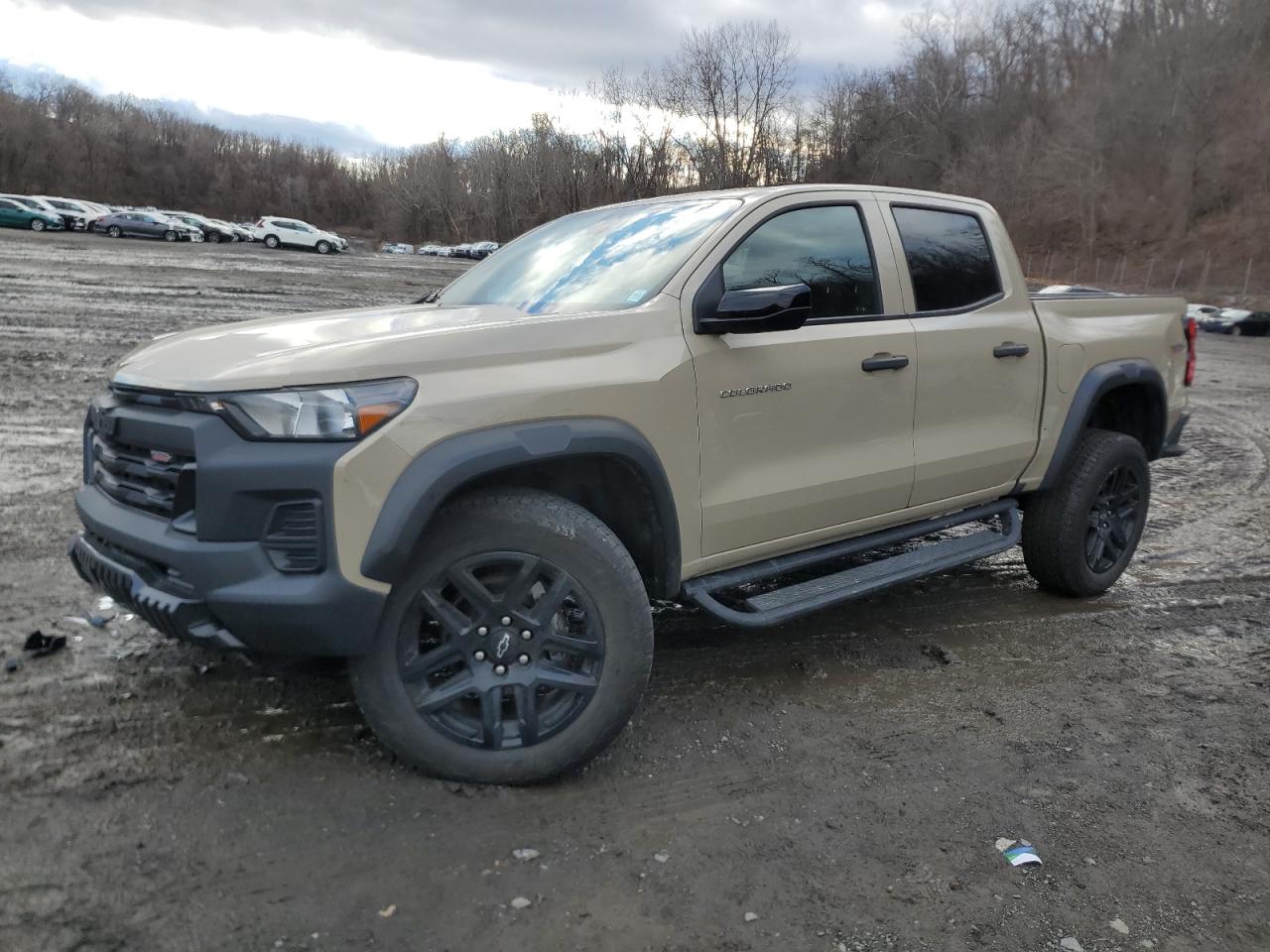 2023 Chevrolet Colorado Trail Boss VIN: 1GCPTEEK5P1163003 Lot: 86514744