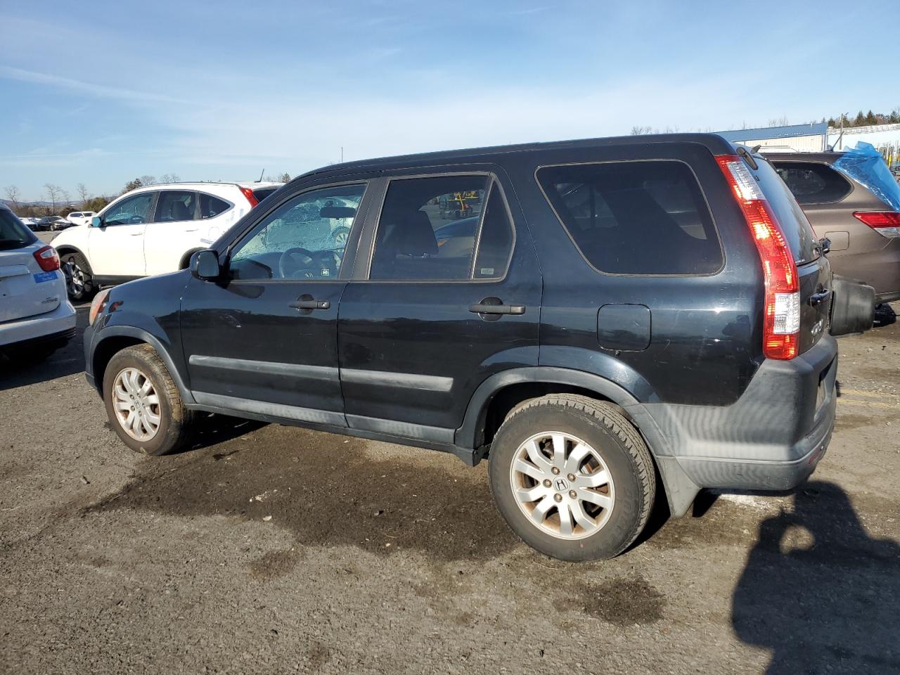 2005 Honda Cr-V Ex VIN: SHSRD78805U335257 Lot: 86217684