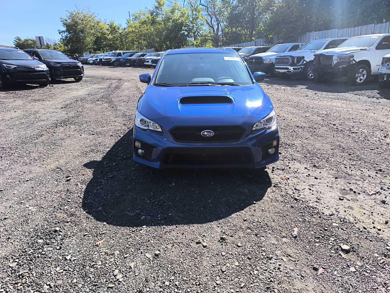 2021 Subaru Wrx Premium VIN: JF1VA1C67M9809902 Lot: 83431944