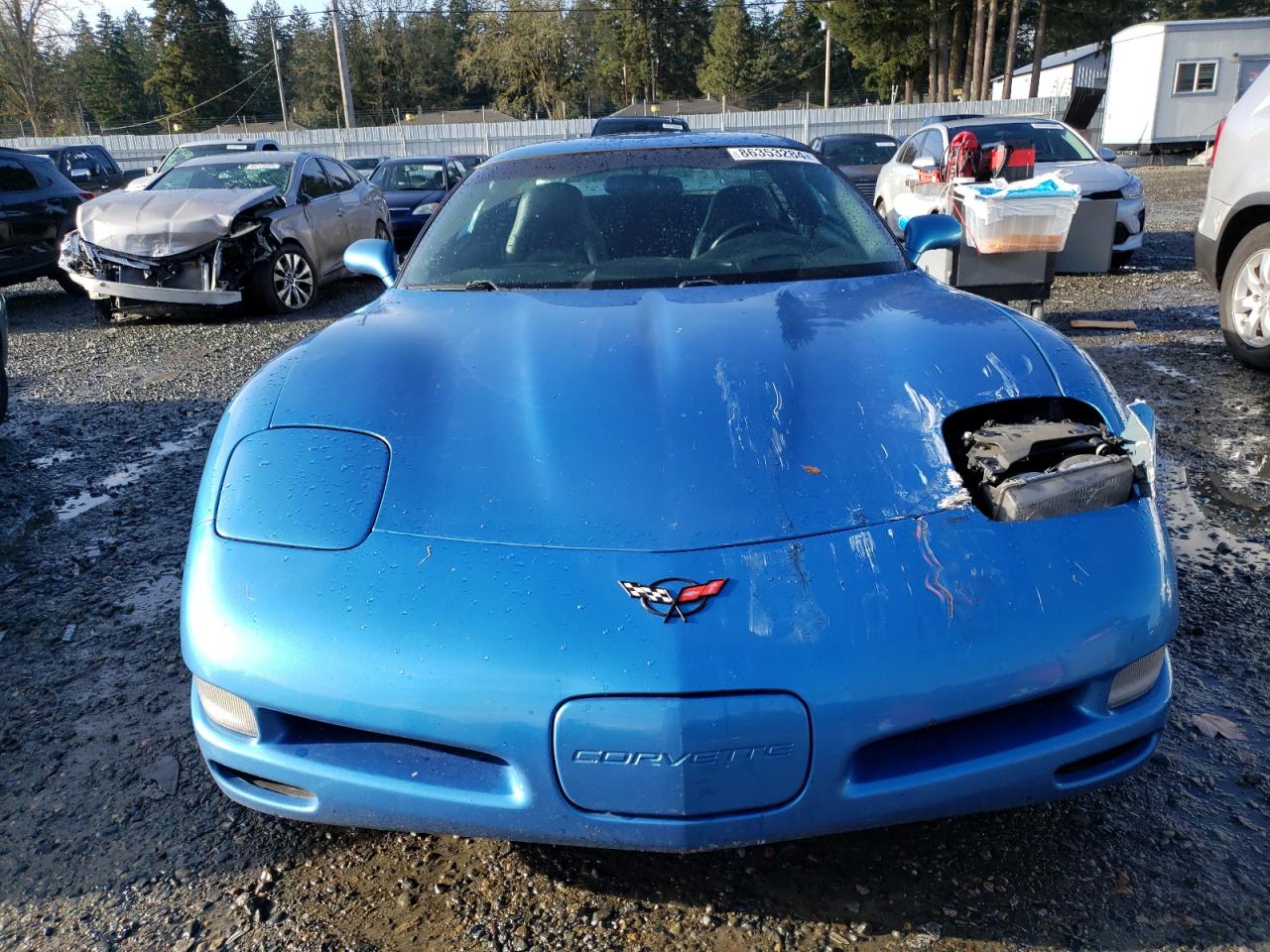 1999 Chevrolet Corvette VIN: 1G1YY22G8X5132785 Lot: 86353284