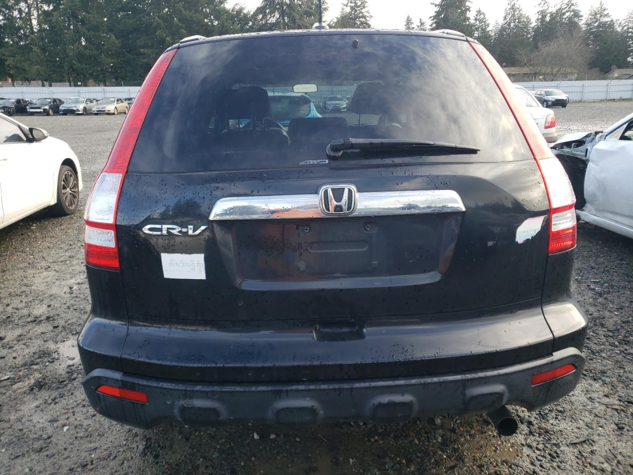 2009 Honda Cr-V Exl VIN: JHLRE48709C021947 Lot: 86838354