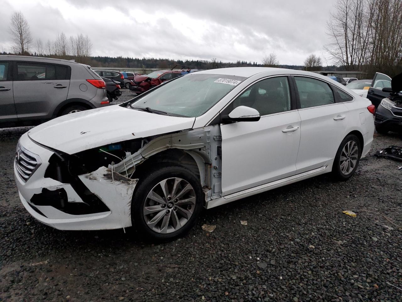 5NPE34AF4GH268229 2016 Hyundai Sonata Sport