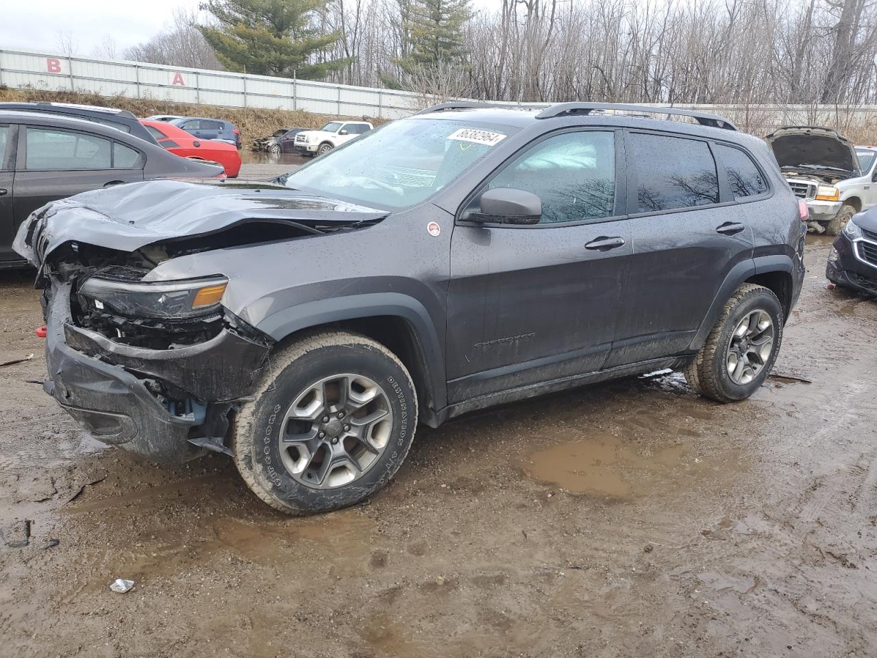 2019 Jeep Cherokee Trailhawk VIN: 1C4PJMBXXKD185974 Lot: 86382964