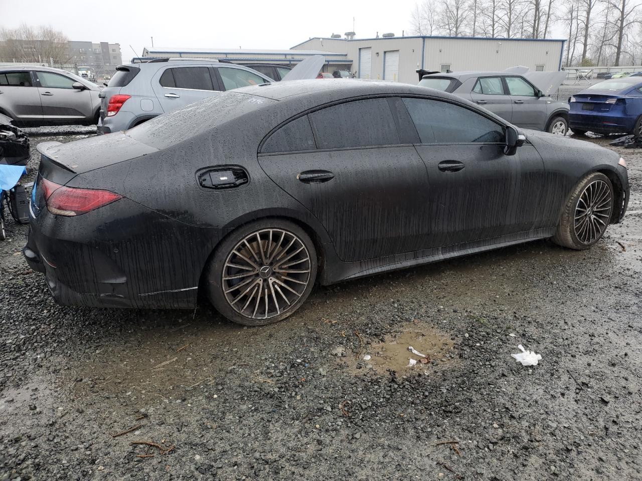 2019 Mercedes-Benz Cls Amg 53 4Matic VIN: WDD2J6BB7KA031496 Lot: 86726714