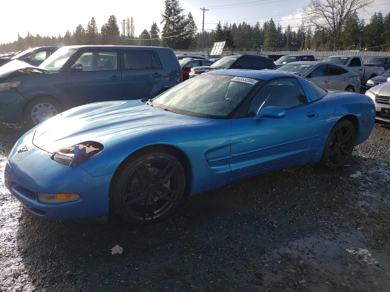 1999 Chevrolet Corvette VIN: 1G1YY22G8X5132785 Lot: 86353284