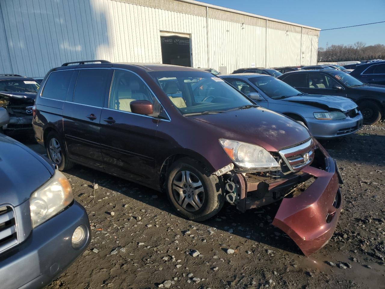 2007 Honda Odyssey Exl VIN: 5FNRL38647B451405 Lot: 84099974