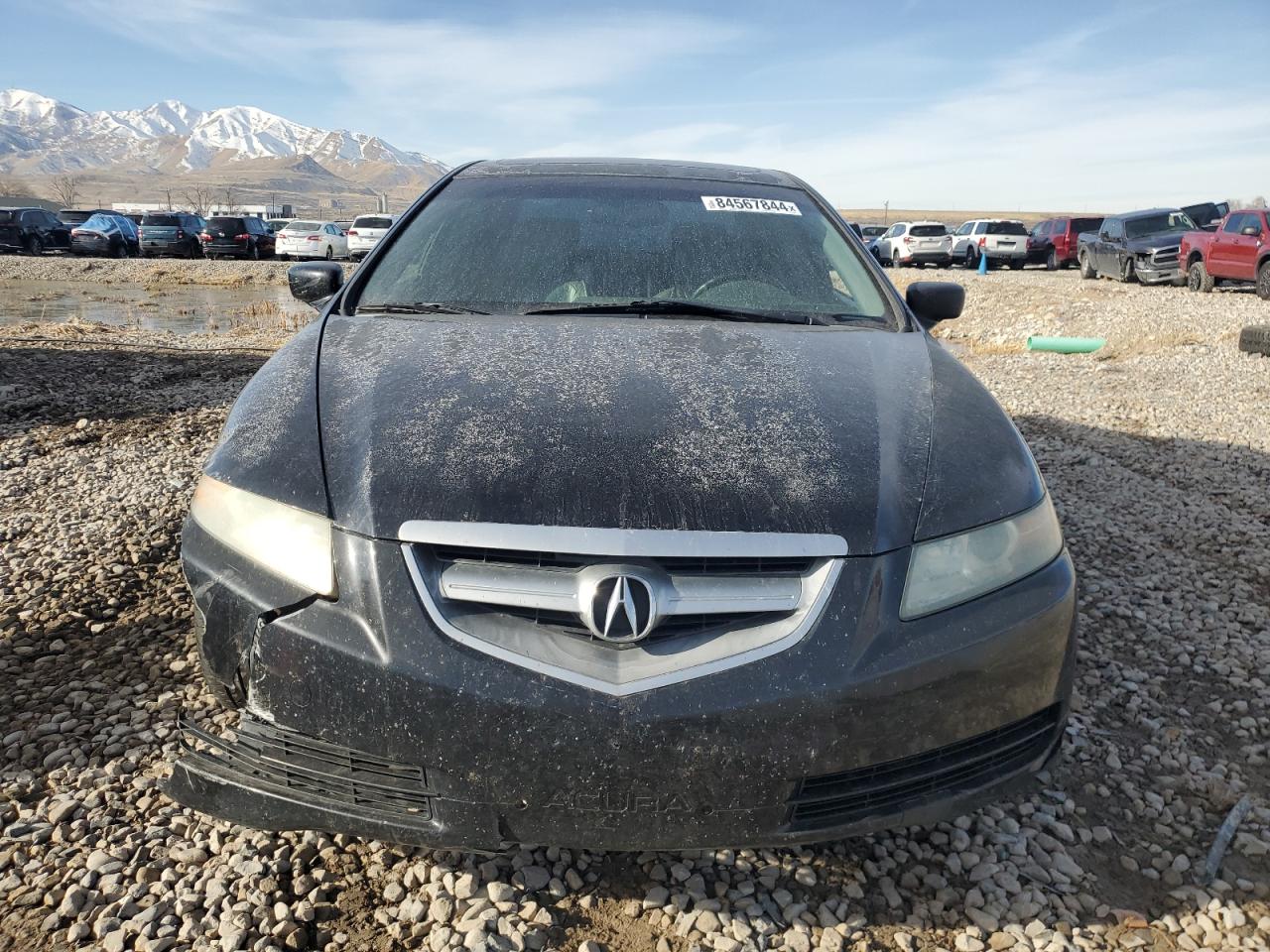 19UUA66256A057521 2006 Acura 3.2Tl