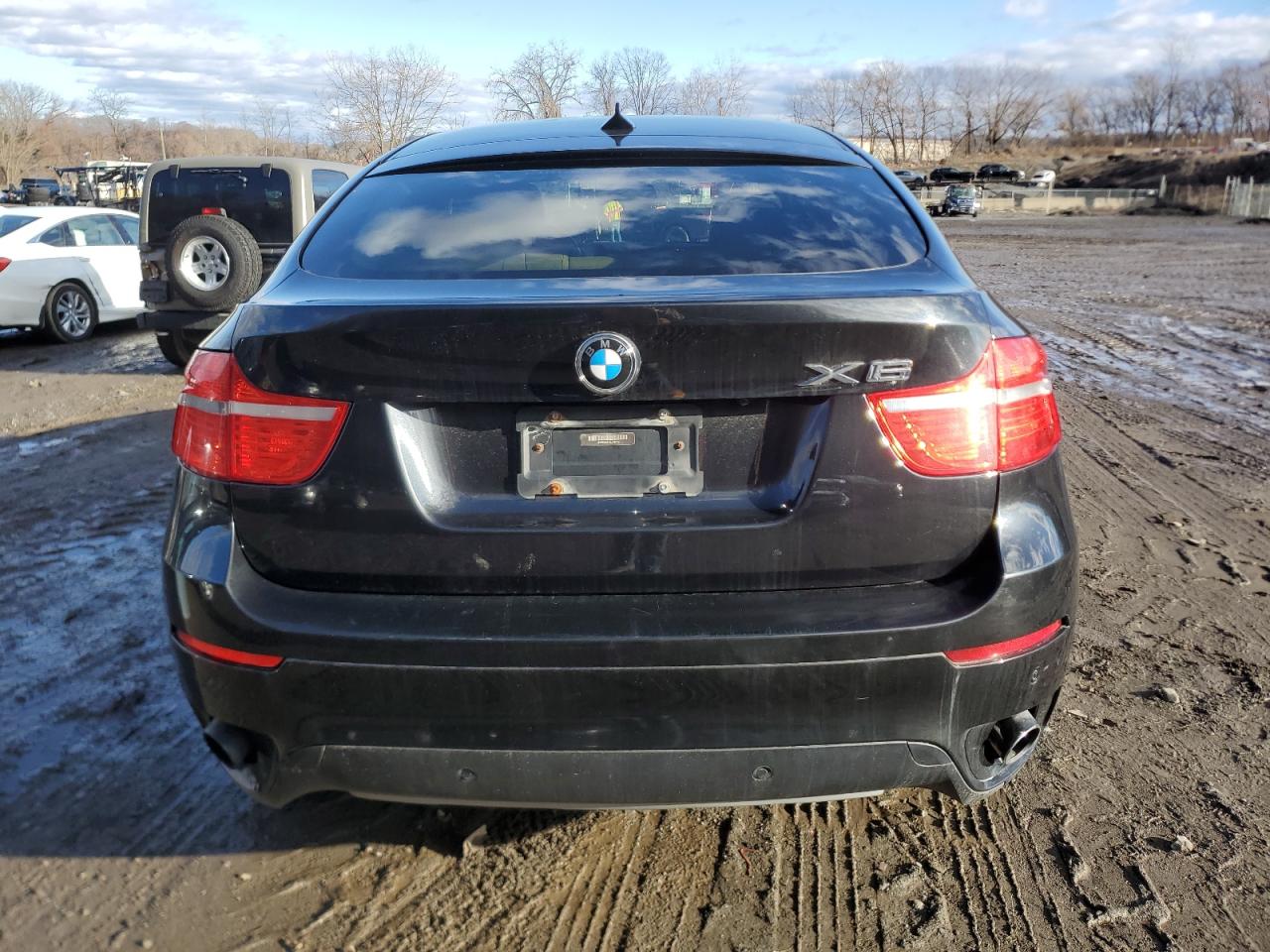 5UXFG2C51CL778012 2012 BMW X6 xDrive35I