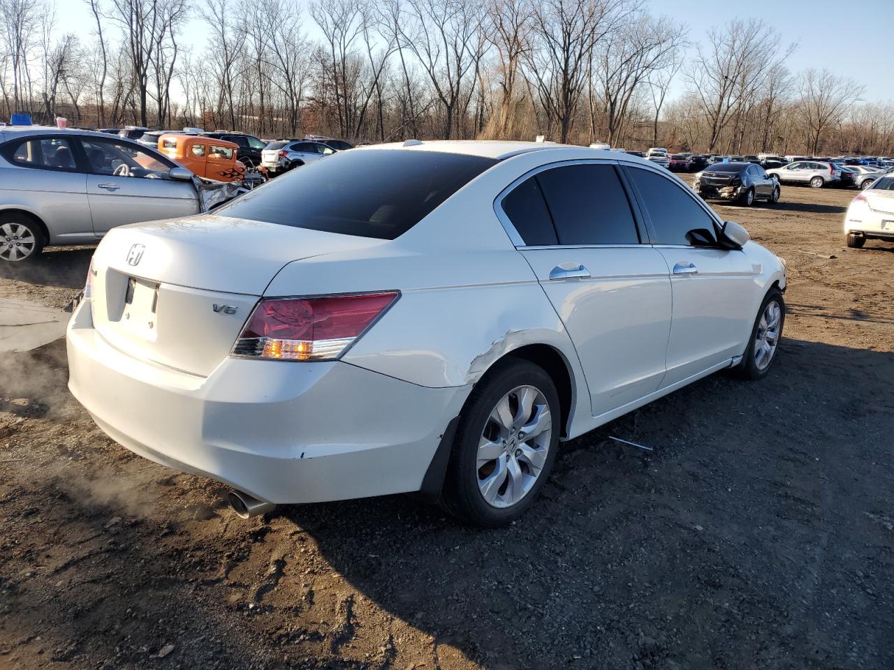 2010 Honda Accord Exl VIN: 5KBCP3F89AB001398 Lot: 84924884