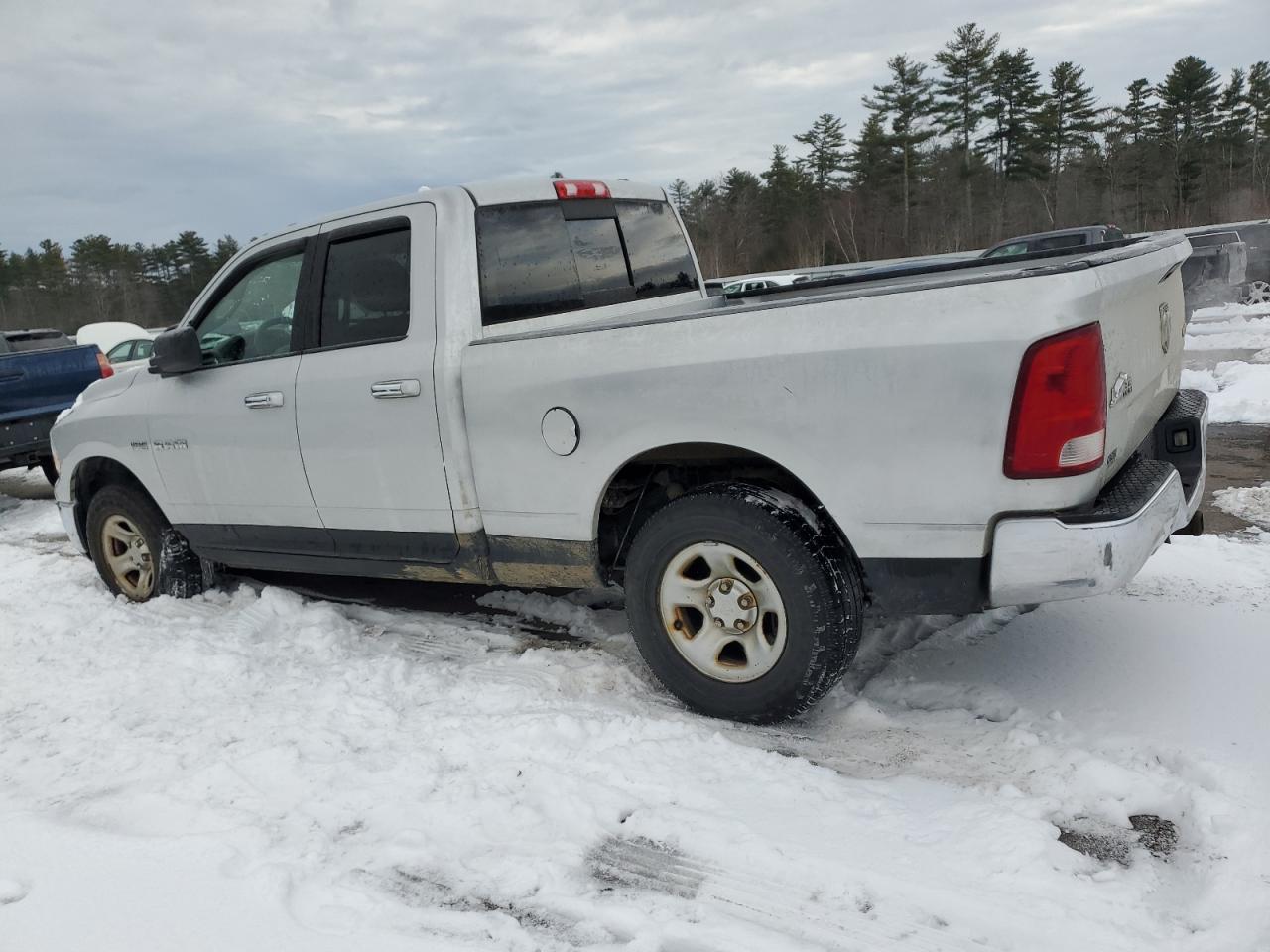 2010 Dodge Ram 1500 VIN: 1D7RV1GT5AS193806 Lot: 86616154