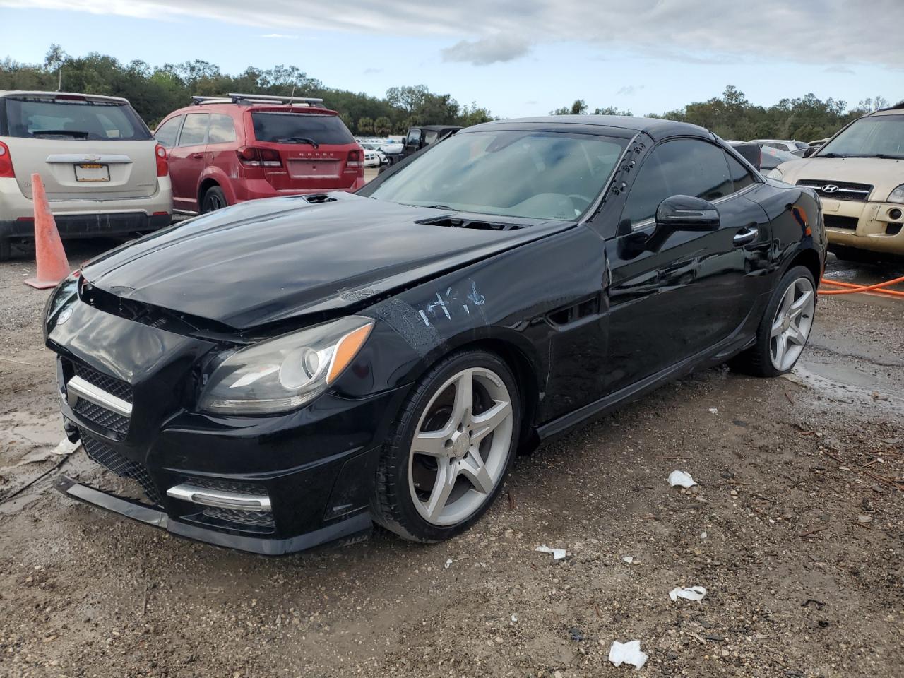 2013 Mercedes-Benz Slk 250 VIN: WDDPK4HA9DF061496 Lot: 78623714