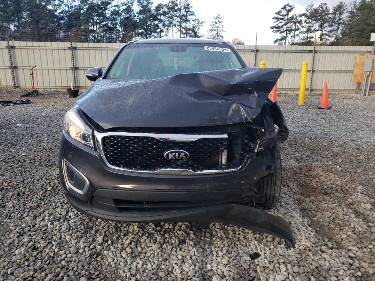 2017 Kia Sorento Lx VIN: 5XYPG4A36HG285156 Lot: 83486554