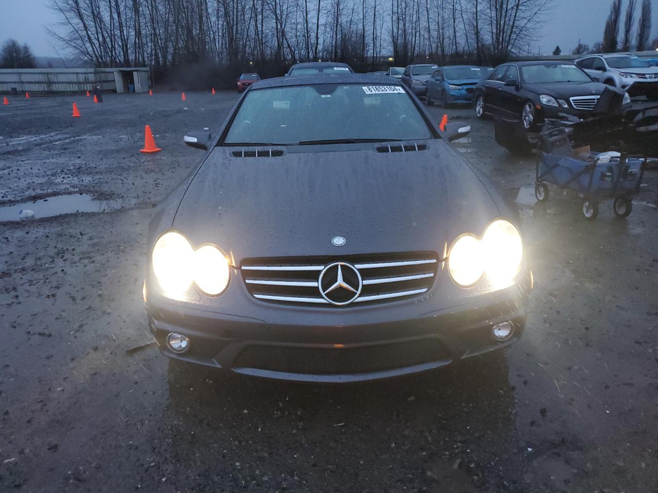 2008 Mercedes-Benz Sl 65 Amg VIN: WDBSK79F98F138503 Lot: 81853104