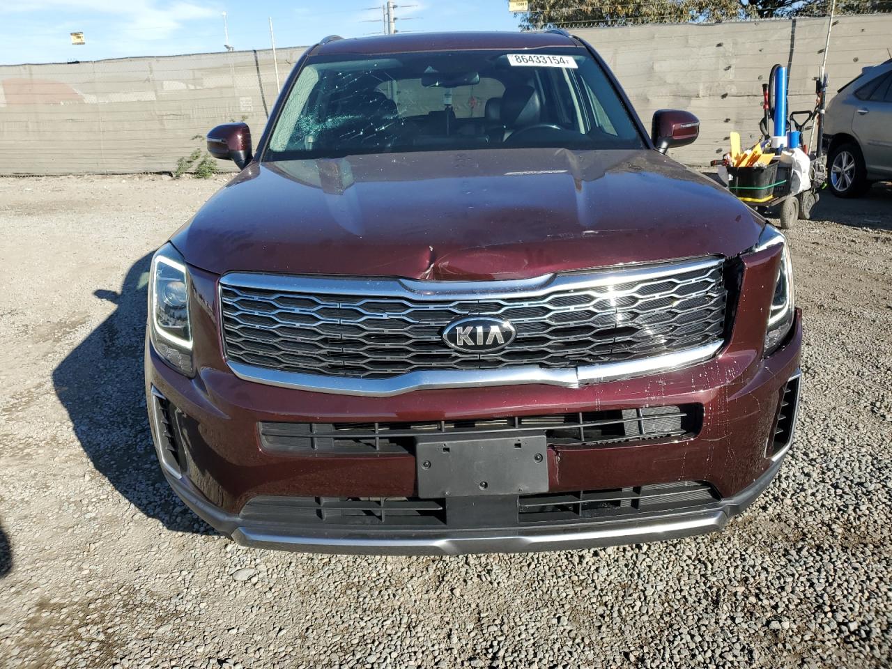 2020 Kia Telluride Ex VIN: 5XYP34HC2LG036492 Lot: 86433154