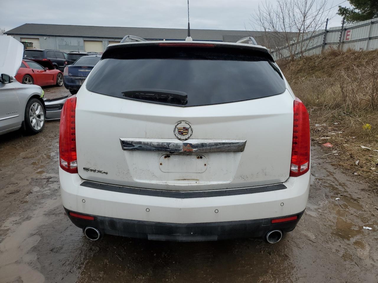 2010 Cadillac Srx Luxury Collection VIN: 3GYFNDEY5AS572980 Lot: 85468724