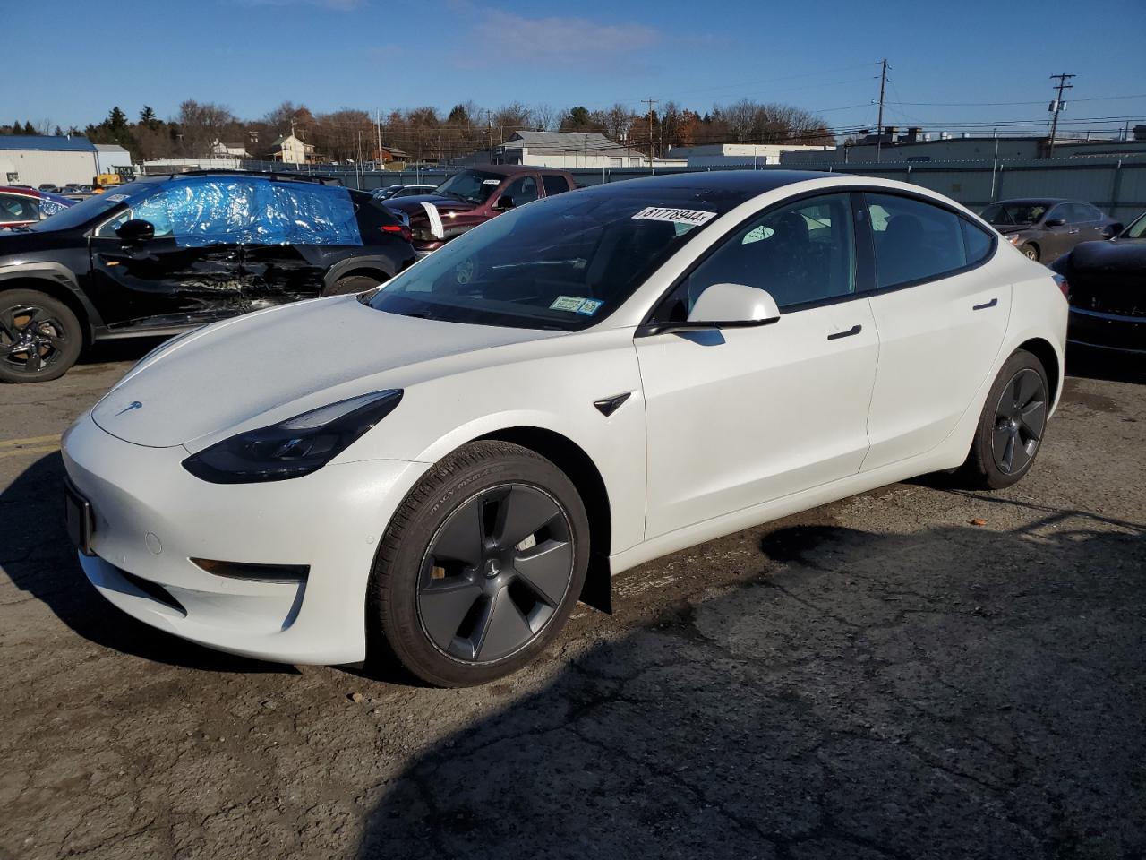 2021 Tesla Model 3 VIN: 5YJ3E1EA4MF045391 Lot: 81778944