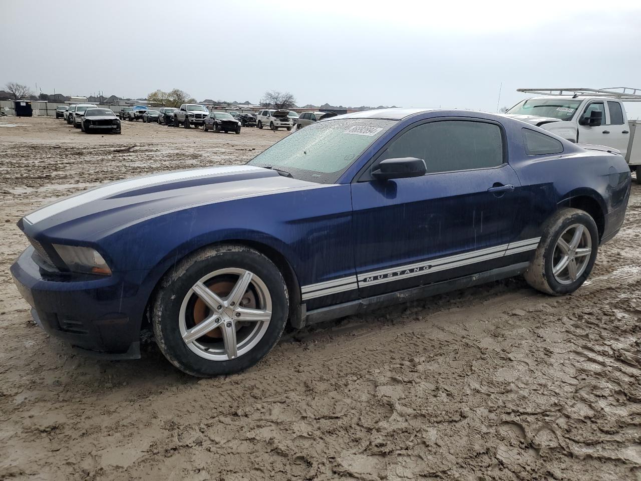 1ZVBP8AN1A5130920 2010 Ford Mustang