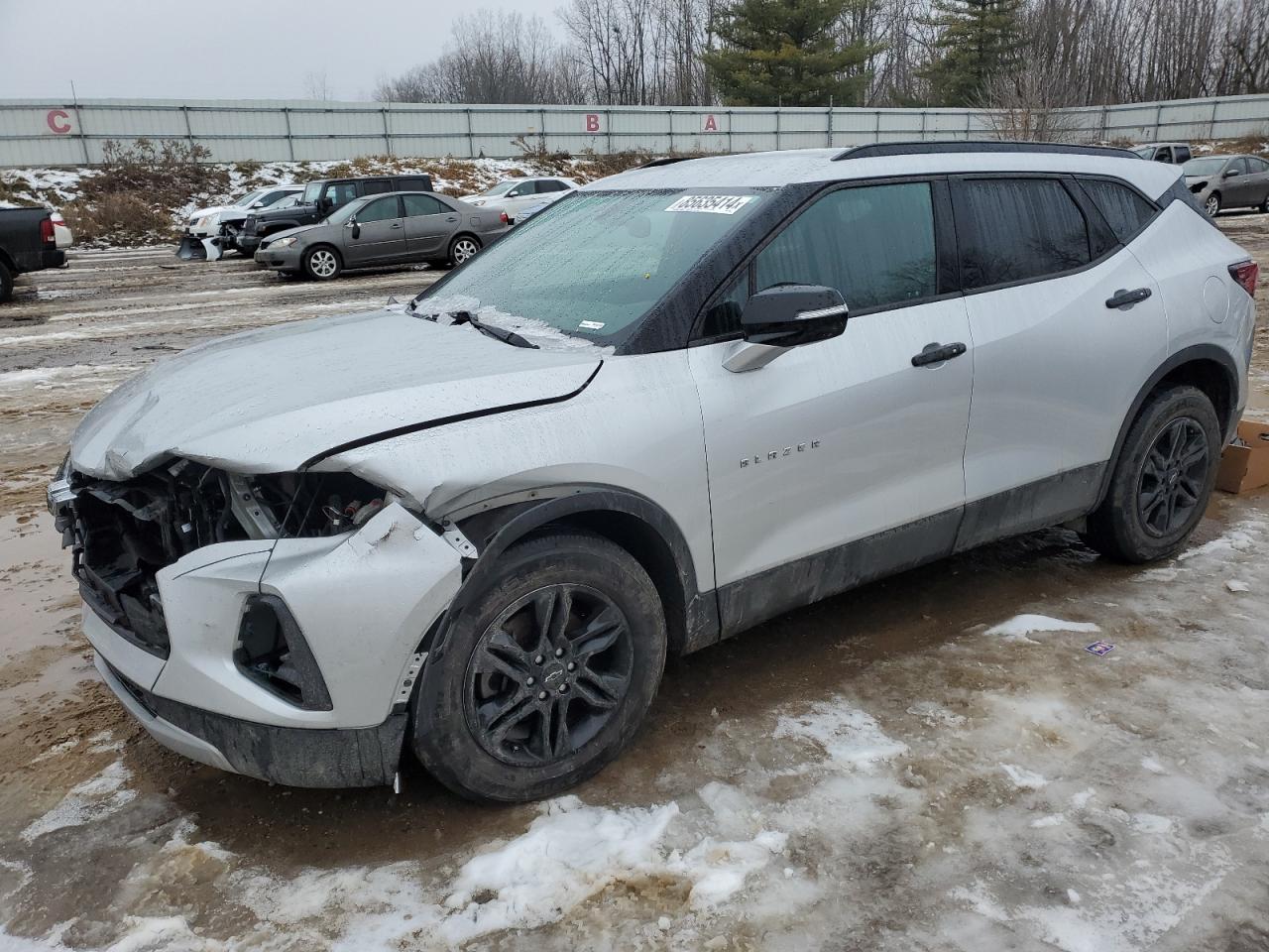 2019 Chevrolet Blazer 2Lt VIN: 3GNKBGRS3KS584560 Lot: 85635414