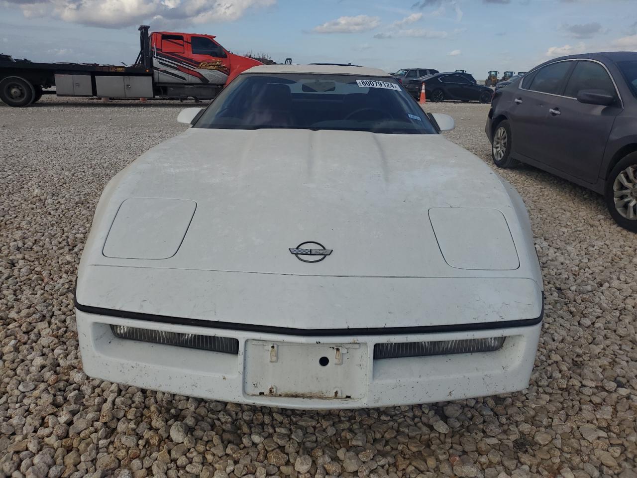 1990 Chevrolet Corvette VIN: 1G1YY3384L5108491 Lot: 80079124