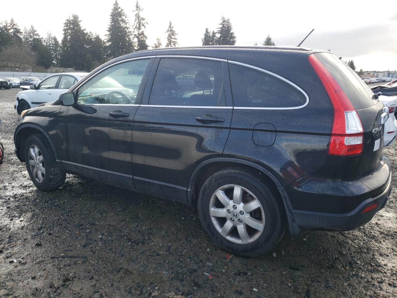 2009 Honda Cr-V Exl VIN: JHLRE48709C021947 Lot: 86838354